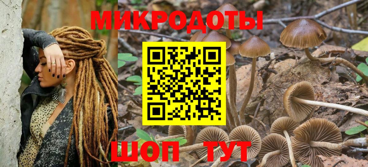 Галлюциногенные грибы мухоморы Коломна