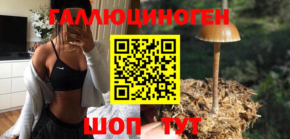 Псилоцибиновые грибы Psilocybe  Вход с VPN  Коломна 